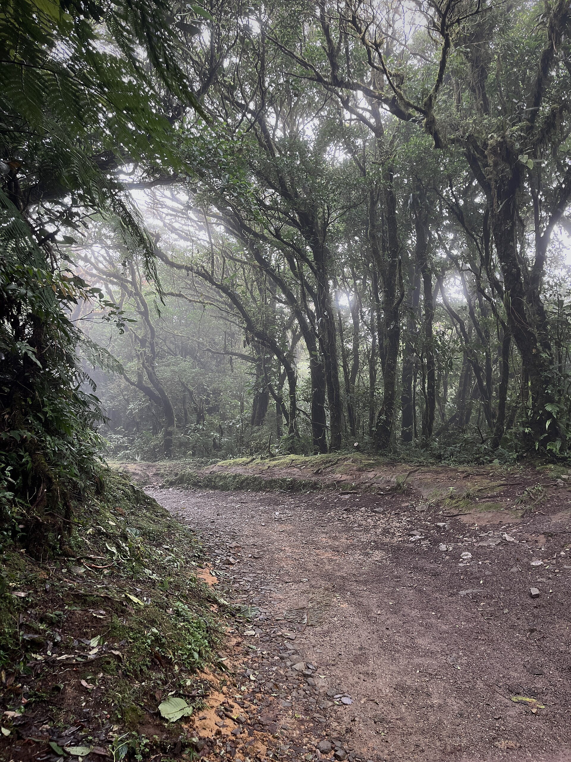 Conduire un 4×4 au Costa Rica — bases pour débutants