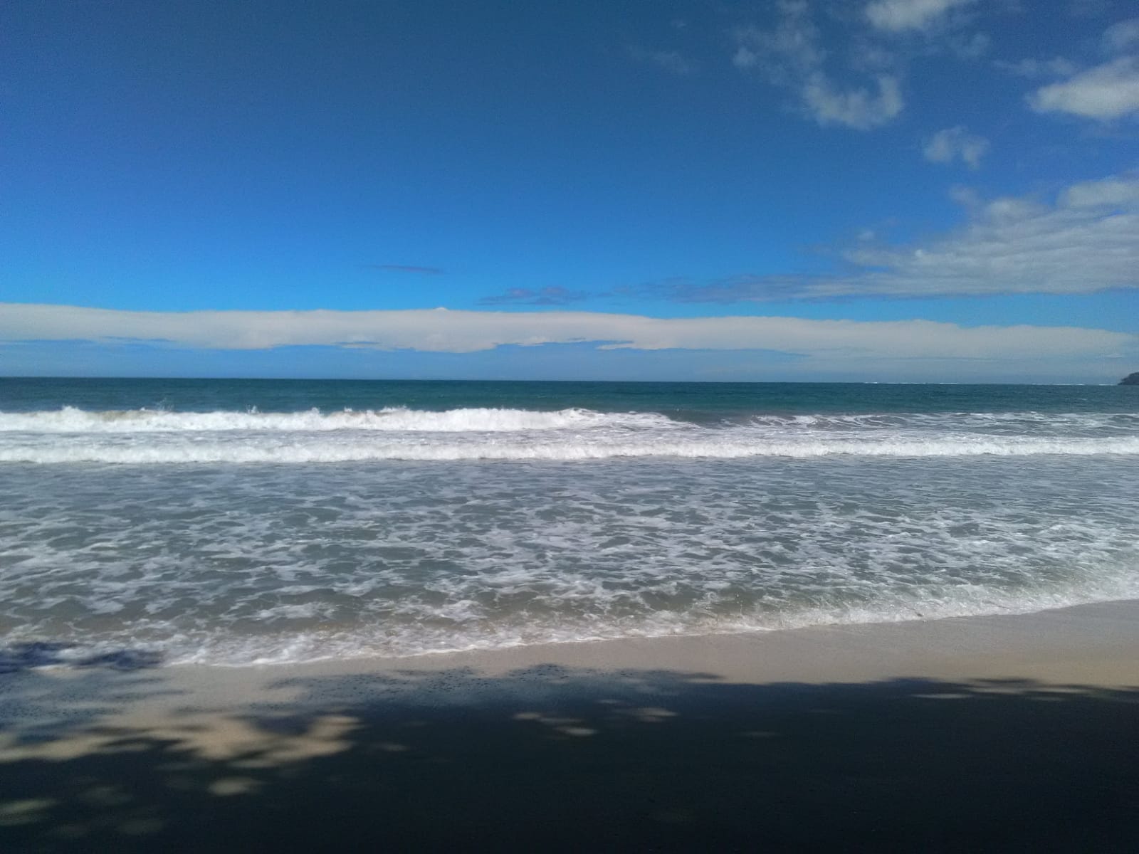 Palmiers et côte Caraïbes près de Puerto Viejo, Costa Rica